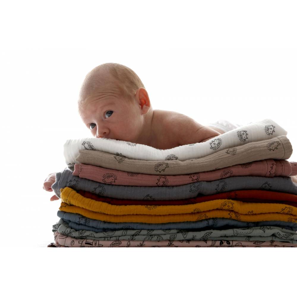 Pack de dos muselinas de algodón para bebé Beltin newborn Erizos bco.